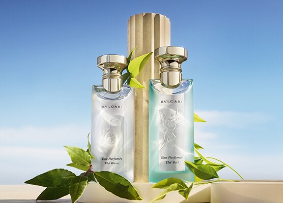 CRAFTING GEMS OF NATURE