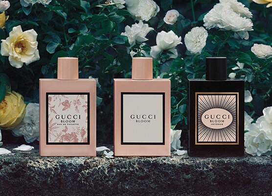 Gucci blush online perfume